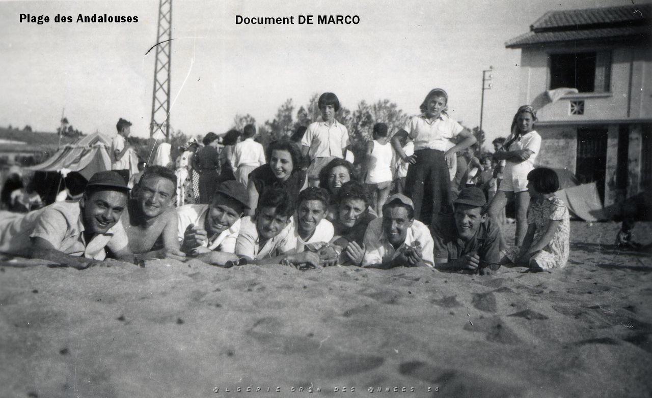 Oran- SDV- 3303- De Marco- Les Andalouses-.jpg
